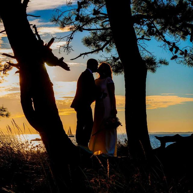 foto boda bosque